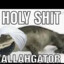 Allahgator????