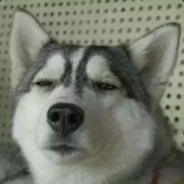 丶零B