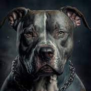 PITBULL