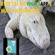 listinha esquizofrenico SAIA