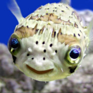 Valorant Baloon Fish