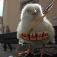 Malavolta - steam id 76561197960379911