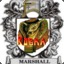 Marshall Kobra