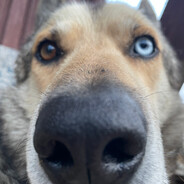 Vasya Pupkin