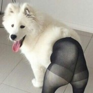 Нелегалы_95