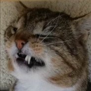 WALLACE