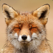 TheHopelessFox