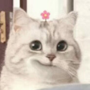 Jinho Meow  ????