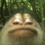 RiisiFarmari's Avatar