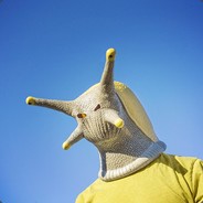 a banana slug