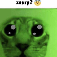 BULLETPROOF CONDOM's Avatar