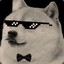 JohnDogePlays