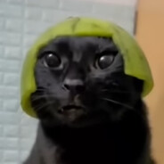 -=СеР ДА сЕр=-