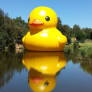 RubberDuck