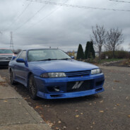 Blue_Pepper