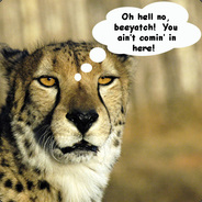 le_cheetah