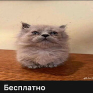 pipsi