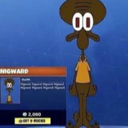 NIGWARD