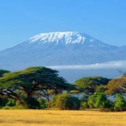 Kilimanjaro_o's Avatar