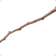 Twig