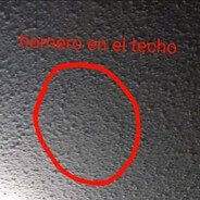 homero en el techo