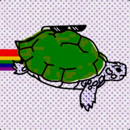 MrTurtle212