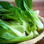 Bok Choy's Avatar