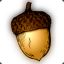 Acorn