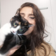 Katze ≥^.^≤