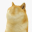 ChonkyBoi