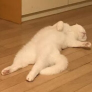 NUMNIM