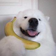 BananaPhone