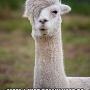 Lama