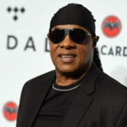 Steviewonder-Surdo