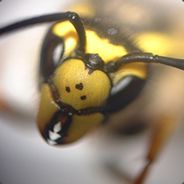 mr_sailor