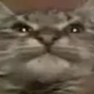 I'M A BIT STRANGE DUDE