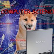 Totes Nta Doge