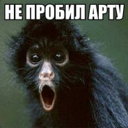 misha.gladchenko
