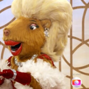 Capivara Do Corre 's avatar