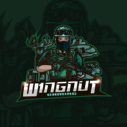 W1ngNutGaming avatar