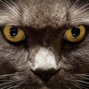 Condemned;* ♿ Korde.cL