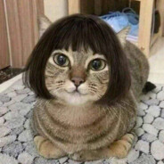 задоджил эволюцию