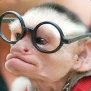 ASDF