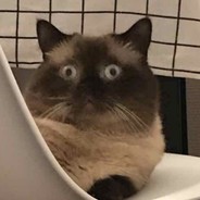 琴影