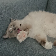 Flinnowaty