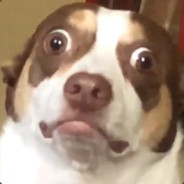 cobija