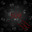 Group Avatar
