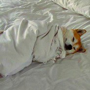 KICKFLIP ♡  EXtReM