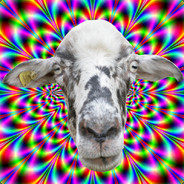 hypno_goat