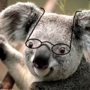 UnholyOgre